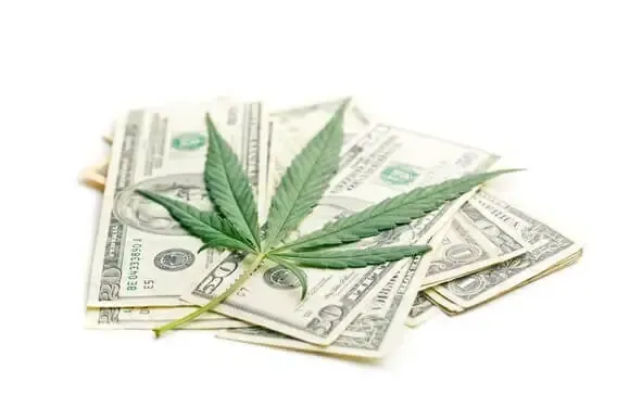 Cannabis Accounting