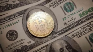 Crypto Tax Accountant