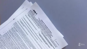 Tax Return Transcript