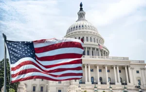 Elon Musk political party